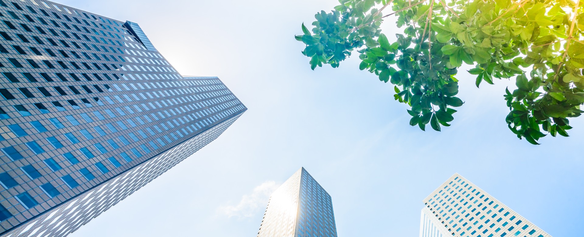 響應式企劃案例